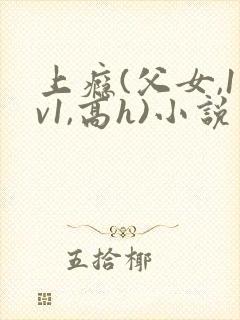 上瘾(父女,1v1,高h)小说封面