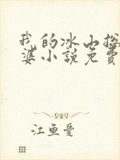 我的冰山总裁老婆小说免费阅读