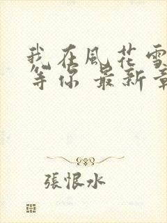 我在风花雪月里等你 最新章节