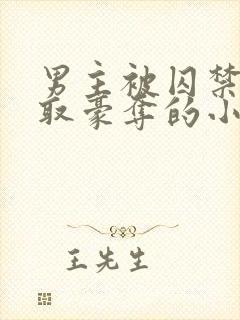 男主被囚禁被强取豪夺的小说封面