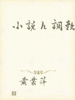小说 h 调教