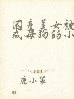 国产美女被调教成母狗的小说