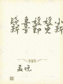 贱妻媛媛小说最新章节更新时间