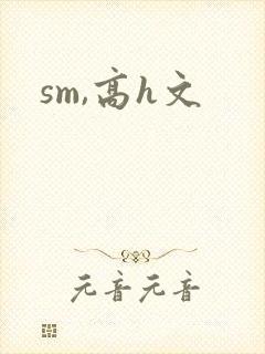 sm,高h文