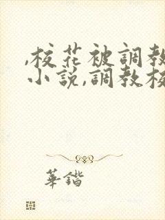 ,校花被调教h小说,调教校花为奴封面