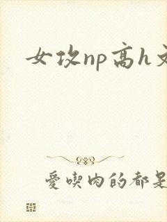 女攻np高h文