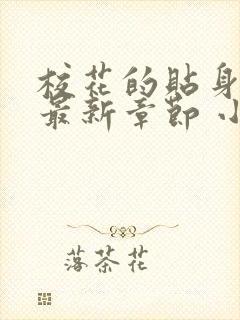 校花的贴身高手最新章节 小说