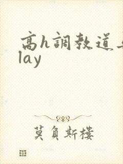 高h调教道具play