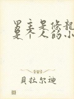 男主是条龙女主是个人的小说封面