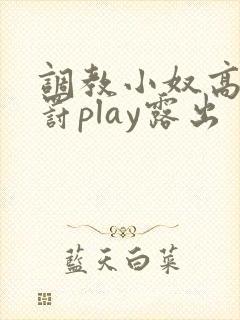 调教小奴高潮惩罚play露出封面