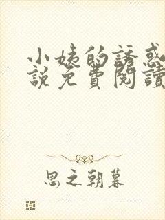 小姨的诱惑我小说免费阅读无弹窗