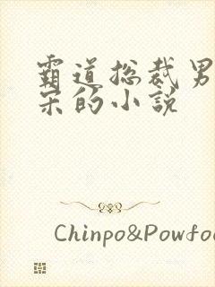 霸道总裁男主姓宋的小说