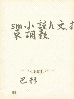 sm小说h文拘束调教