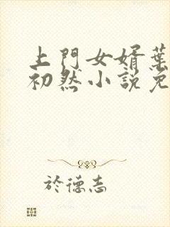 上门女婿叶辰萧初然小说免费读