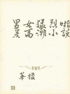 男女猛烈啪啪做爰高潮小说封面