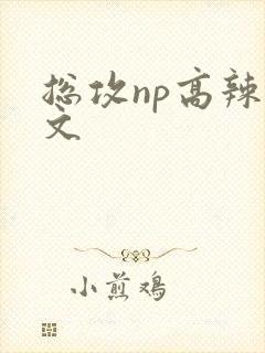 总攻np高辣h文