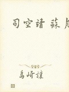 司空靖 苏月汐封面