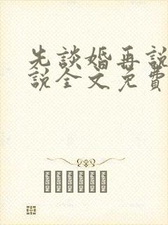 先谈婚再说爱小说全文免费阅读