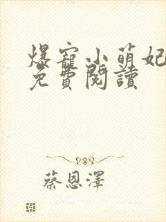 爆宠小萌妃小说免费阅读