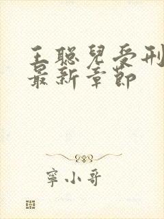 王聪儿受刑小说最新章节