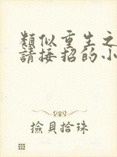 类似重生之老公请接招的小说推荐