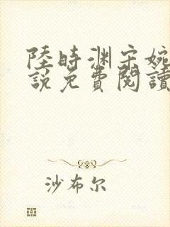 陆时渊宋婉婷小说免费阅读最新章节