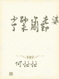 少帅你老婆又跑了未删节