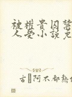 被权贵囚禁的美人受小说免费阅读下