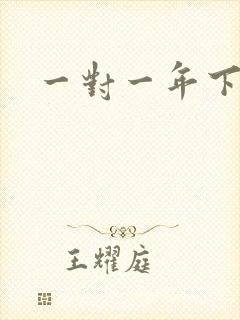 一对一年下h文
