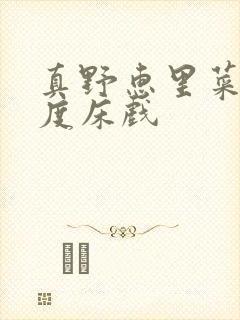 真野惠里菜大尺度床戏