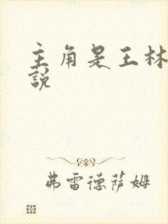 主角是王林的小说