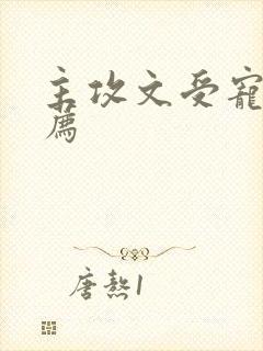 主攻文受宠攻推荐