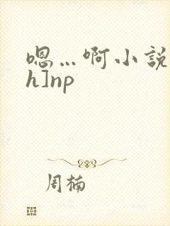 嗯…啊小说[高h]np