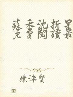 苏禾沈折星小说免费阅读最新章节封面