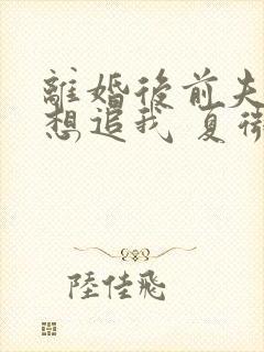 离婚后前夫总是想追我 夏微凉