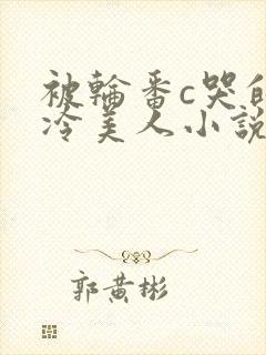 被轮番c哭的清冷美人小说