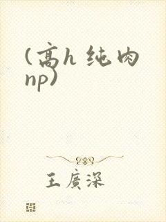 (高h 纯肉 np)