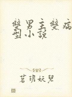 双男主双病娇类型小说