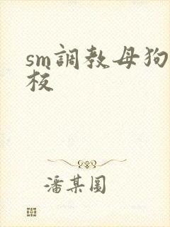 sm调教母狗学校