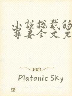 小说总裁的新婚罪妻全文免费阅读