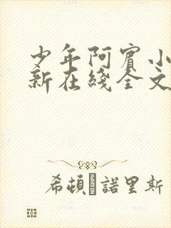 少年阿宾小说最新在线全文阅读