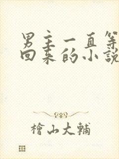 男主一直等女主回来的小说