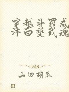 穿越斗罗成为戴沐白双武魂的小说