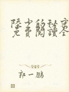 陆少的秘密恋人免费阅读全文