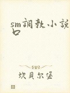 sm调教小说重口封面