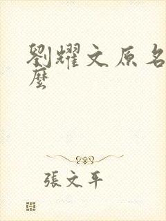 刘耀文原名是什么