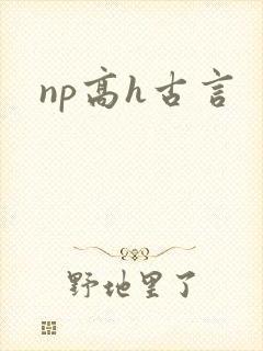 np高h古言