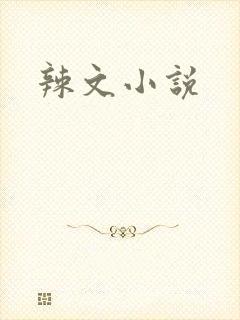 辣文小说