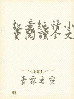 故意纯情小说免费阅读全文封面