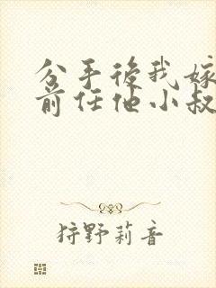 分手后我嫁给了前任他小叔